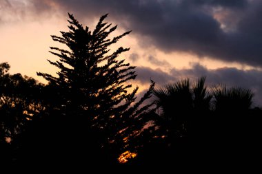 Clouds and lovely sky at Sunset in Alicante in summer