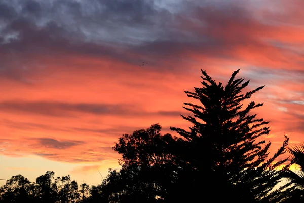 Ροζ Και Πορτοκαλί Σύννεφα Και Υπέροχο Ουρανό Στο Ηλιοβασίλεμα Στο — Φωτογραφία Αρχείου