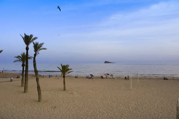 贝尼多姆 阿利坎特 西班牙 2022年9月11日 波尼恩特海滩 拥有美丽的加州棕榈树 背对着莱拉岛 — 图库照片