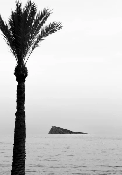 Playa Poniente Benidorm Vacía Por Tarde Con Palmeras Pequeña Isla — Foto de Stock