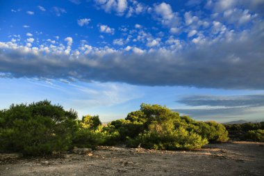 İspanya 'da sabah altokümülüs bulutları ile kırsal alan