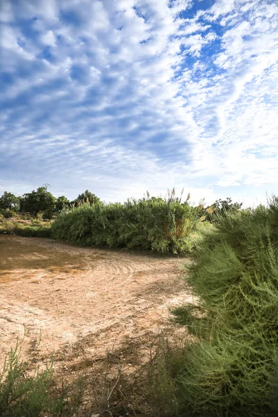 Paisaje Campo Con Nubes Altocumulus Por Mañana España — Foto de Stock