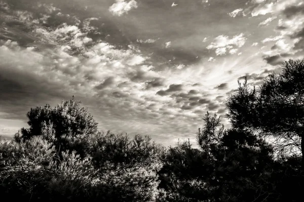 Τοπίο Στην Ύπαιθρο Altocumulus Σύννεφα Πρωί Στην Ισπανία — Φωτογραφία Αρχείου