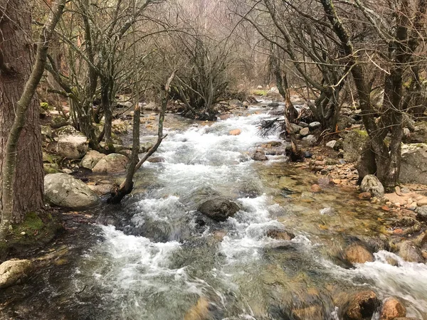 Madrid 'de nehir ve hızlı