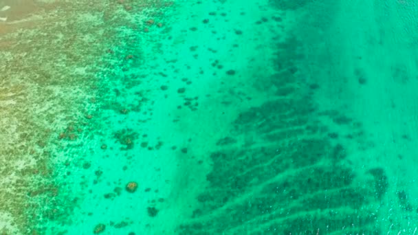 Paisaje tropical con mar azul y arrecife de coral — Vídeo de stock