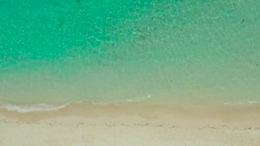 Dalgalar ve Sarı Plajlı Okyanus