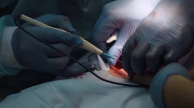 Veteriner kliniğinde bir köpeğin cerrahi müdahalesi