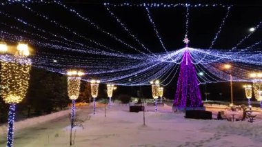 Parktaki Noel ağacı.