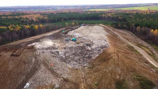 Storten omgeven door bos, bovenaanzicht. — Stockvideo