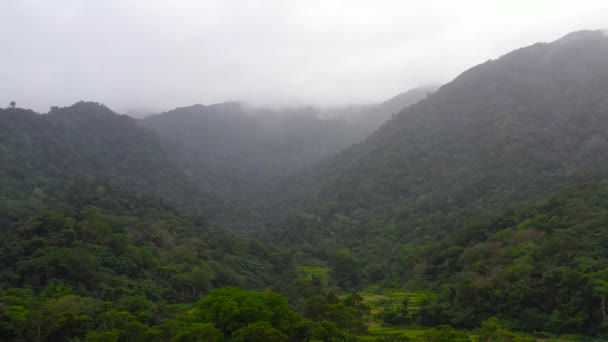 Dağın tepesinde yağmur ormanları. Luzon Adası, Filipinler 'deki İskoçya. — Stok video
