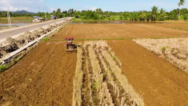 O trator arado o solo para semear arroz. — Vídeo de Stock