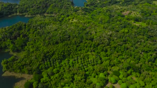 Yeşil tepeler ve dağların arasında bir göl. Pantabangan Gölü. — Stok video