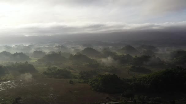 Τοπίο με καλλιεργήσιμη γη και καταπράσινους λόφους, εναέρια θέα. Πρωινή ομίχλη. — Αρχείο Βίντεο