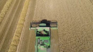 Buğday tarlasında hasatçıyı birleştir