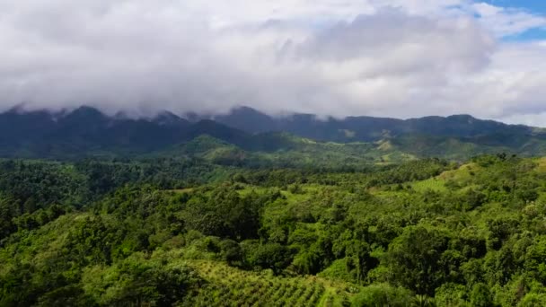 Mountain peaks are covered with rainforest and clouds. — Stock Video