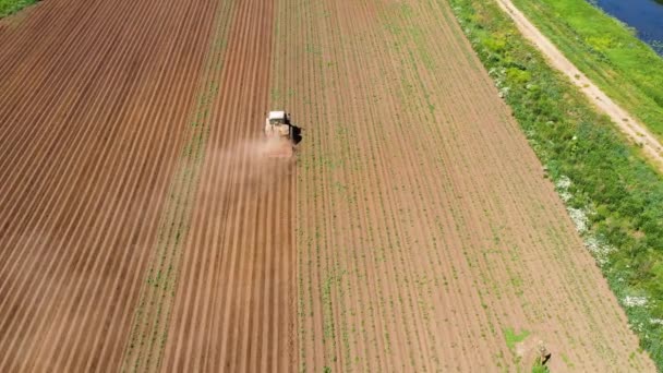 Patates tarlasında tarım makineleri toprağı işliyor. — Stok video