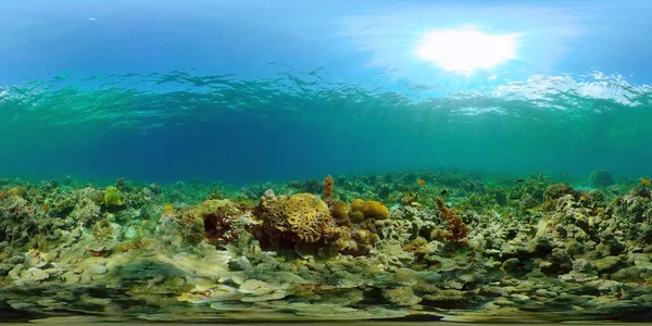 Κοραλλιογενής ύφαλος και τροπικά ψάρια. Φιλιππίνες. Όψη 360 μοιρών. — Φωτογραφία Αρχείου