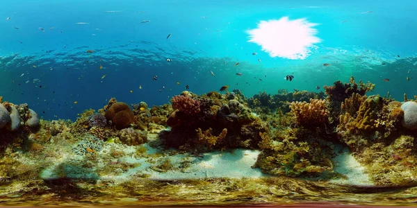 The underwater world of a coral reef. Philippines. Virtual Reality 360 — Stock Photo, Image