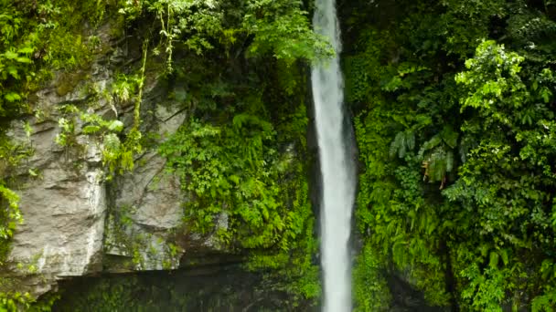 Vackert tropiskt vattenfall Camiguin, Filippinerna. — Stockvideo