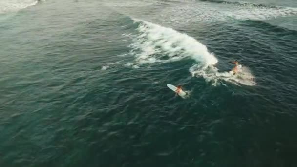 Surfers on the water surface — Stok Video