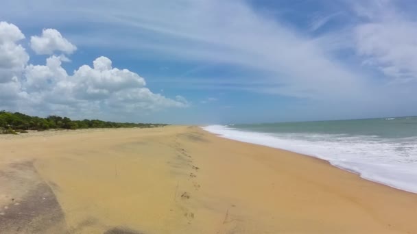 Bela praia no Sri Lanka . — Vídeo de Stock