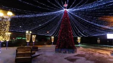 Parktaki Noel ağacı.