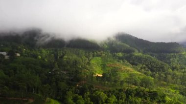 Tropikal peyzaj dağlar.
