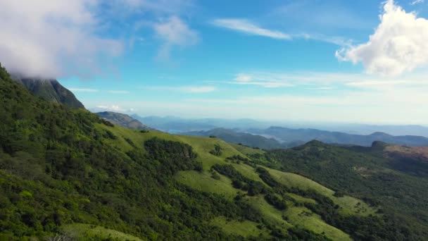 위에서 내려다보면 스리랑카 의산 속의 푸른 강우림 과밀림 이보인다. — 비디오