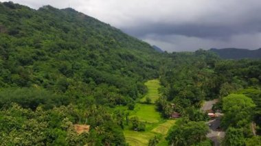 Sri Lanka 'daki Dağ manzarası.