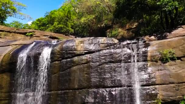 Waterfall among tropical jungle with green plants and trees. — Stockvideo