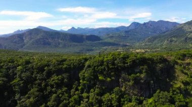 Sri Lanka dağlarının yamaçlarında tropik yeşil orman ve orman.