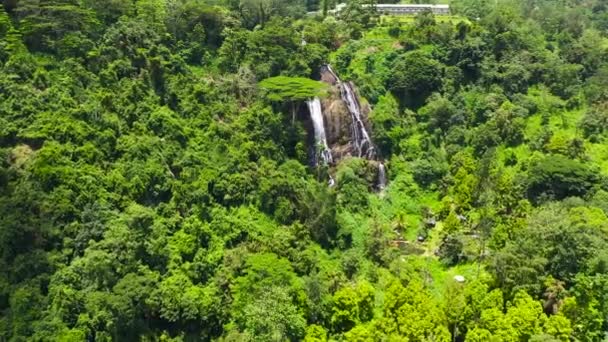 Waterval in het tropische bos. — Stockvideo