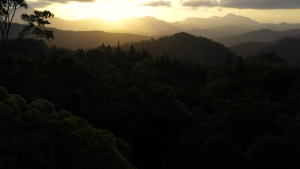 Feuillage vert frais, plantes tropicales et arbres couvre les montagnes et les ravins au coucher du soleil. — Video