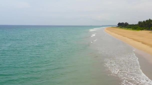 Αεροφωτογραφία της αμμώδους παραλίας με φοίνικες και ωκεάνια surf με κύματα. Σρι Λάνκα. — Αρχείο Βίντεο
