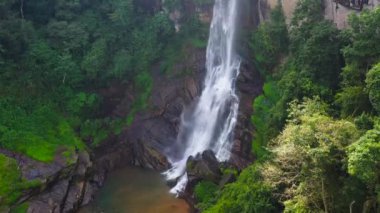 Ramboda Şelaleleri tropik dağ ormanlarında. Sri Lanka.