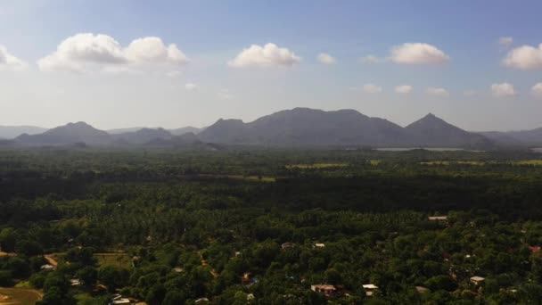 Aerial view of Tropical landscape with farmland and jungle. Sri Lanka. — 图库视频影像