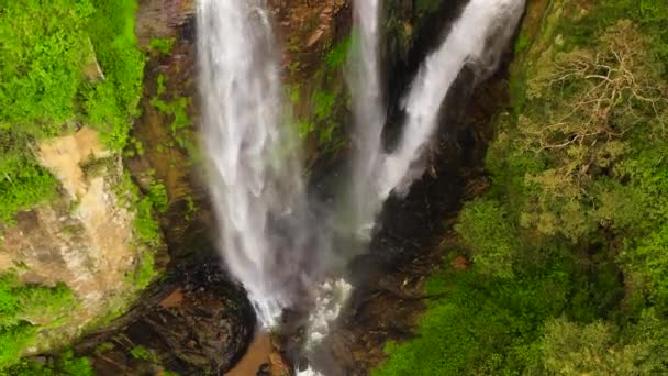 Prachtige waterval in het regenwoud uitzicht van boven. Tonijnwatervallen, Sri Lanka. — Stockvideo