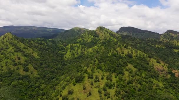Mountains and green hills in Sri Lanka. Slopes of mountains with evergreen vegetation. — Wideo stockowe