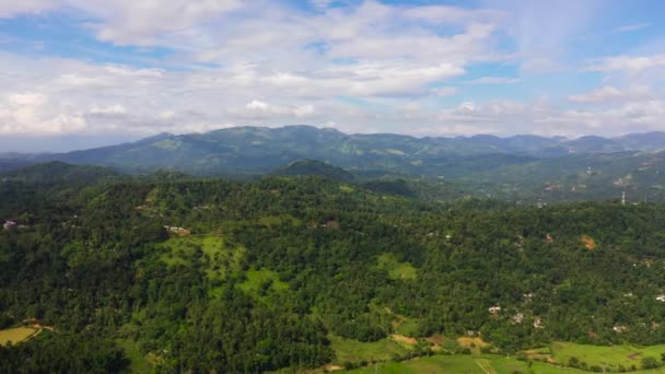 Agricultural land and mountains with green forest.Sri Lanka. — Stockvideo