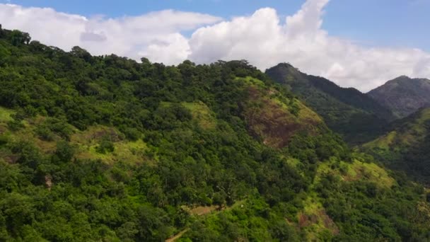 스리랑카 의산 과 정글 이 있는 열 대의 풍경. — 비디오