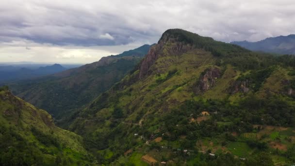 Tropical plants and trees covers mountains and ravine. Sri Lanka. — Stock Video