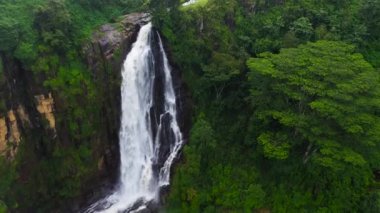 Yeşil ormandaki şelale. Sri Lanka.