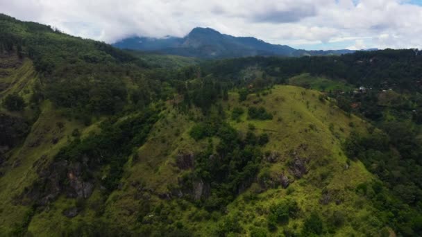 Tropical green forest and jungle on the slopes of the mountains of Sri Lanka. — Stock Video