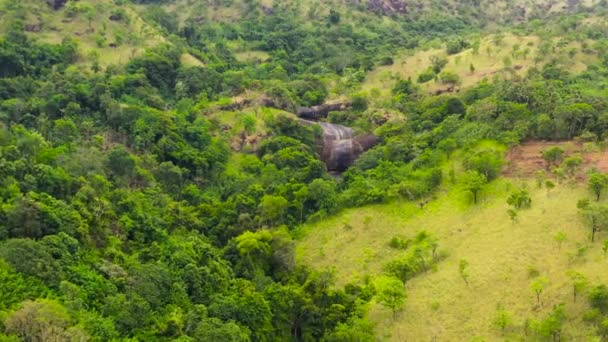 Βουνά με τροπικά δάση και ζούγκλα στην ορεινή επαρχία της Σρι Λάνκα. — Αρχείο Βίντεο