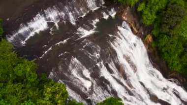 Yeşil ormandaki şelalelerin manzarası. Sri Lanka.