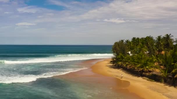Εναέρια drone του Seascape με τροπική αμμώδη παραλία και μπλε ωκεανό. Σρι Λάνκα. — Αρχείο Βίντεο