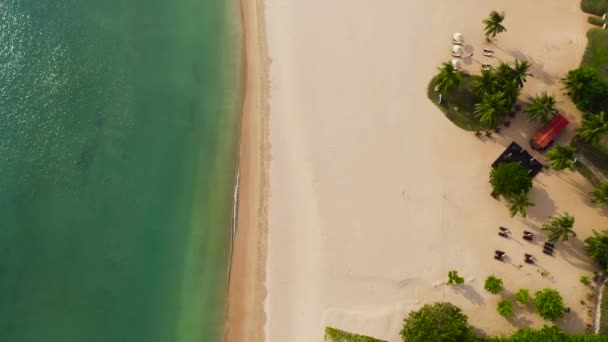 En tropisk strand med palmer och en blå ocean. — Stockvideo