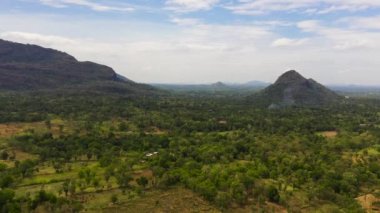 Sri Lanka 'da kırsal alan.