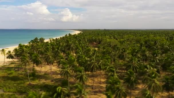 Paysage tropical avec une belle vue sur la plage. Sri Lanka. — Video