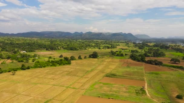 Paysage rural au Sri Lanka. — Video
